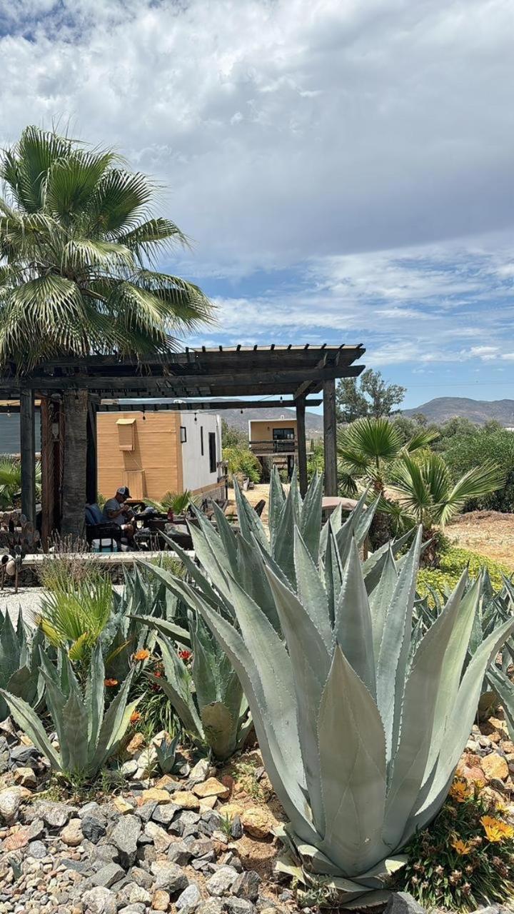 Rincon Del Corazon Villa Valle de Guadalupe Exterior foto