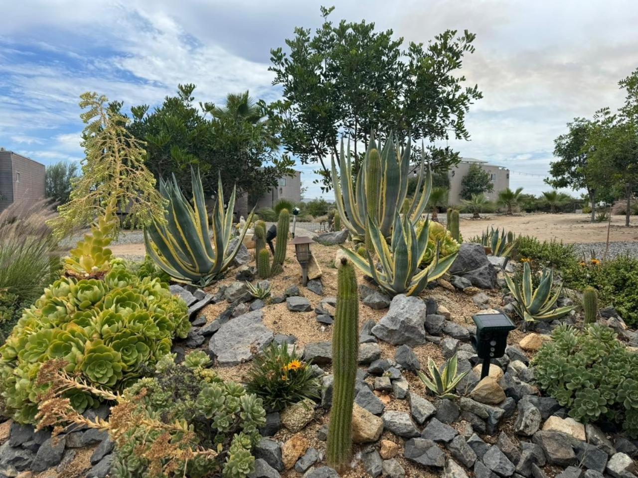 Rincon Del Corazon Villa Valle de Guadalupe Exterior foto