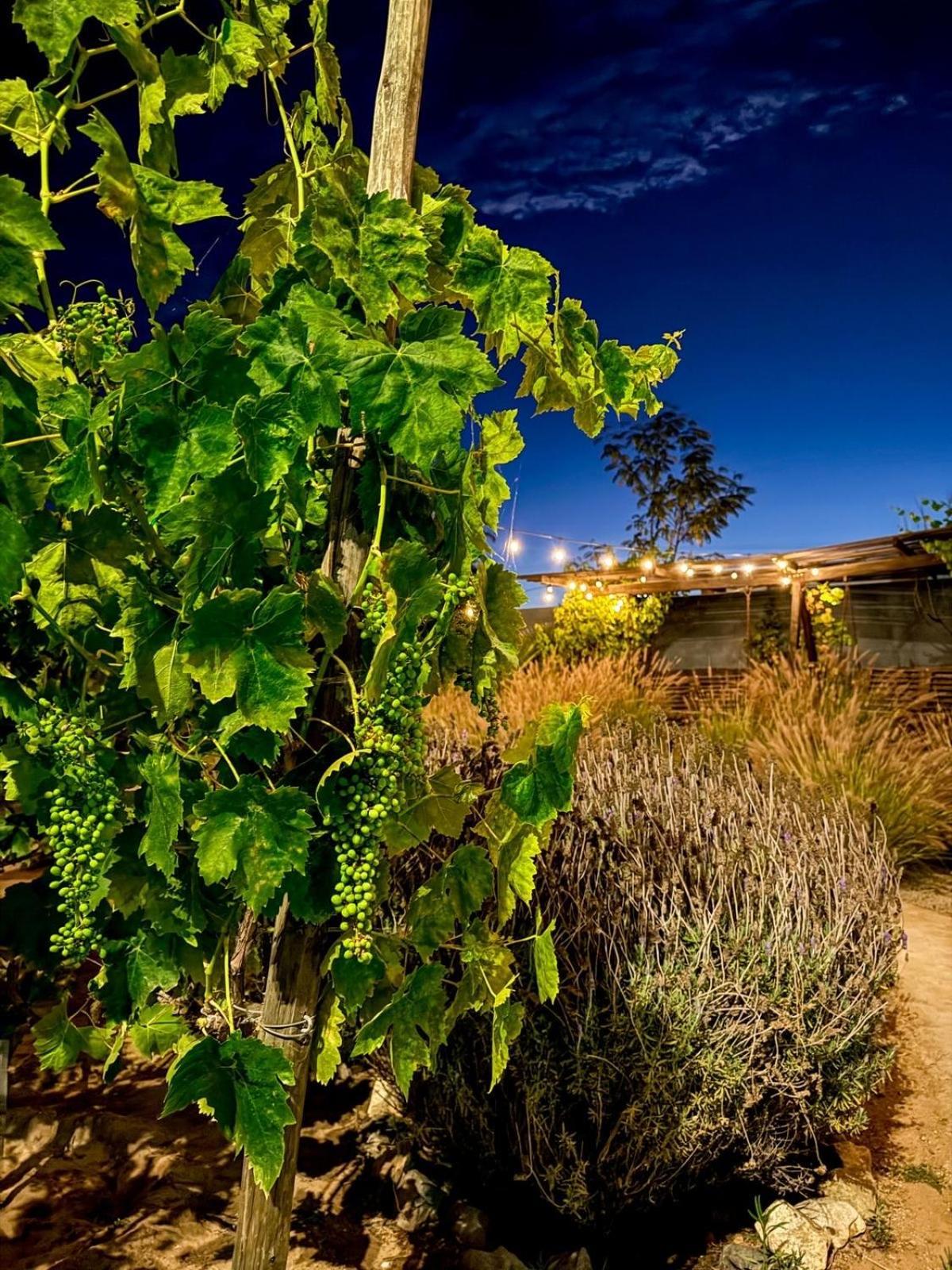 Rincon Del Corazon Villa Valle de Guadalupe Exterior foto